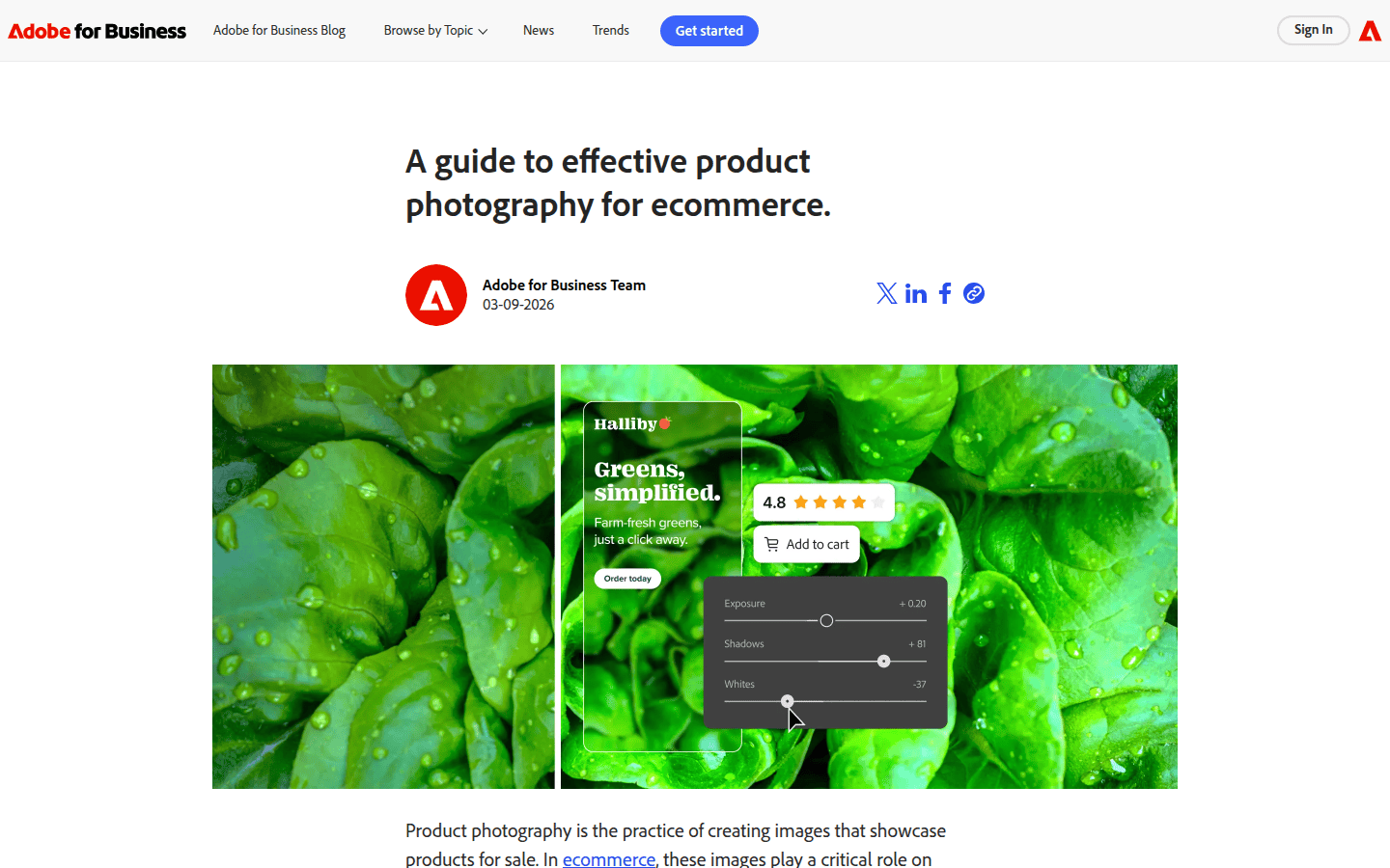 Adobe's guide to effective product photography highlighting setup consistency