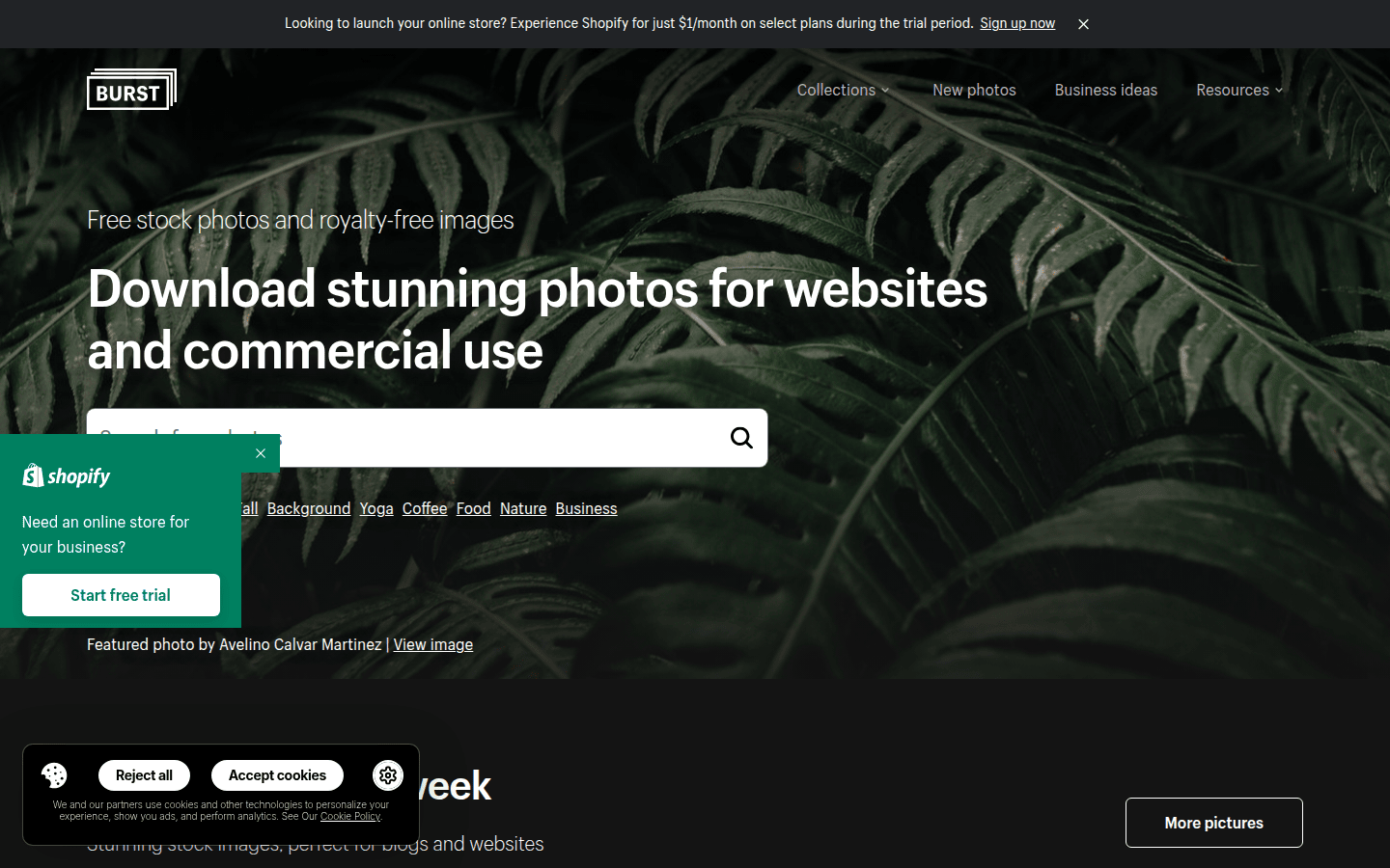 Screenshot of the Burst by Shopify homepage, featuring business and lifestyle images with categories like 'fashion' and 'business.'