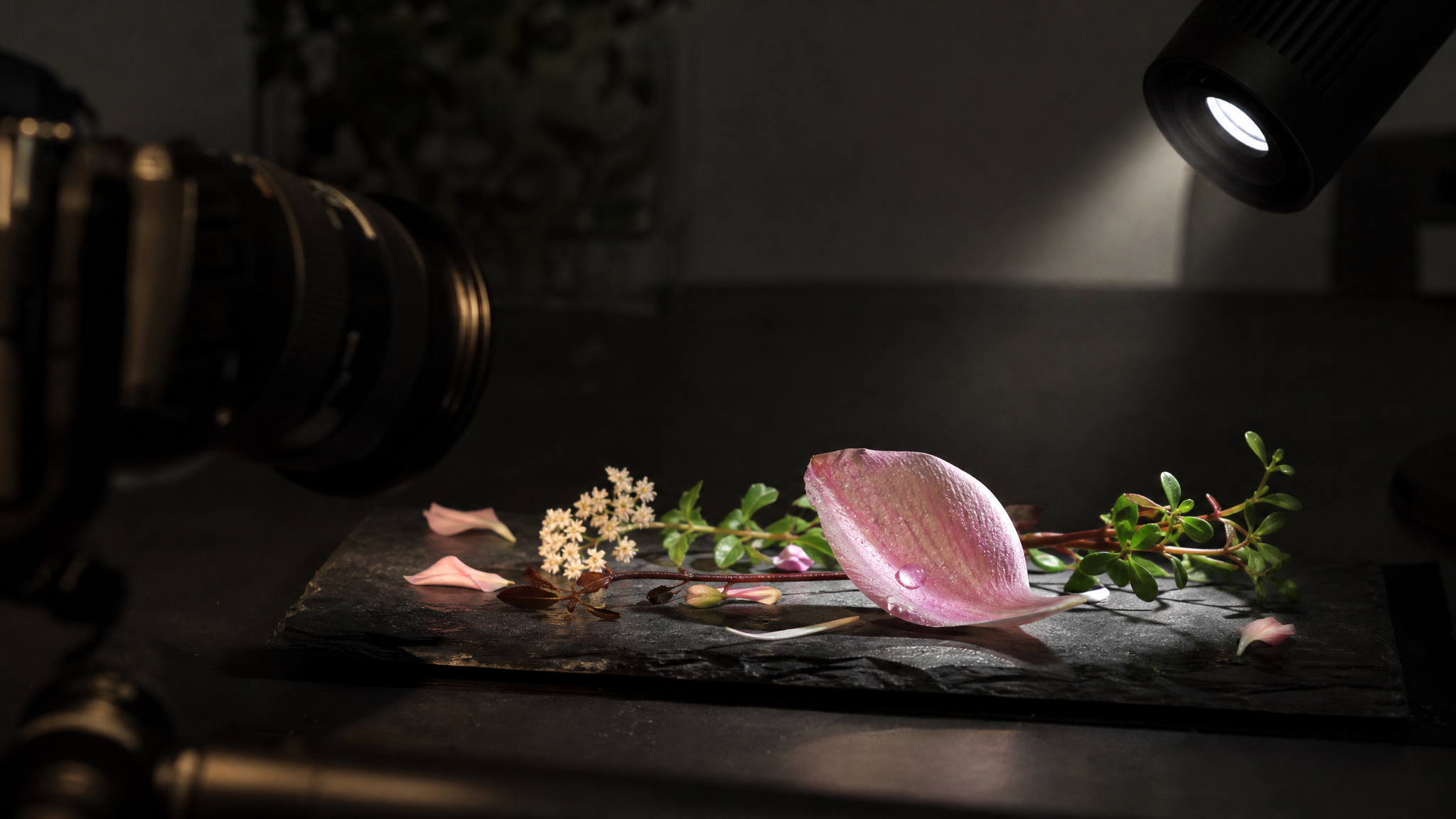 Macro photograph setup with flowers and foliage under carefully directed light in a studio environment