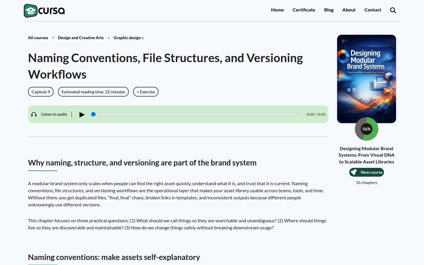 Screenshot of Cursa's guide on naming conventions, emphasizing structured filenames and metadata.