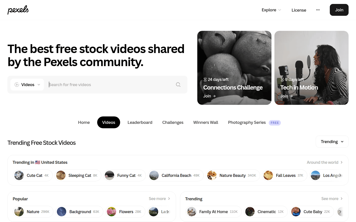 Pexels Videos homepage displaying a diverse range of free stock video footage.